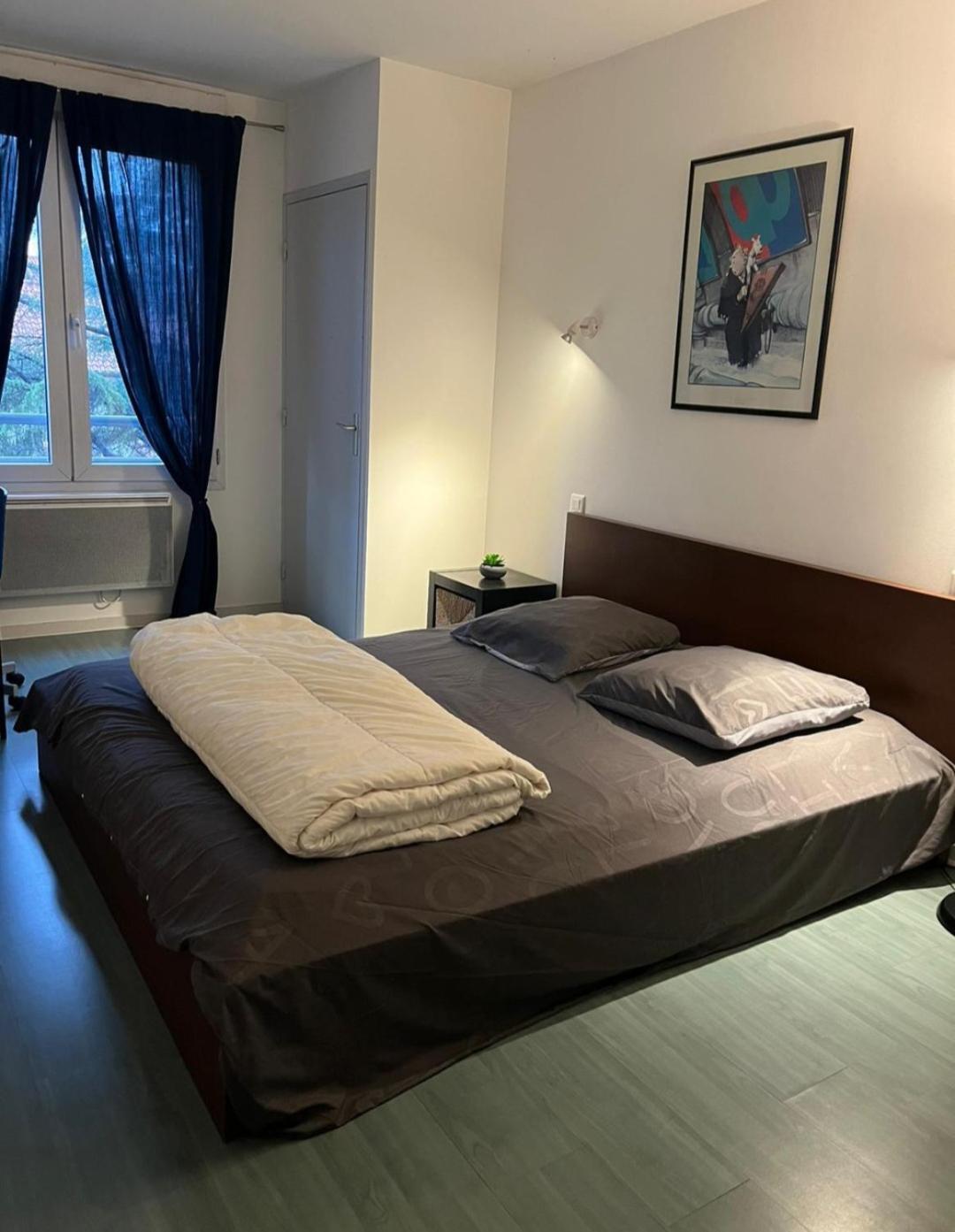 リヨン115 Rue Vaubanアパートメント エクステリア 写真